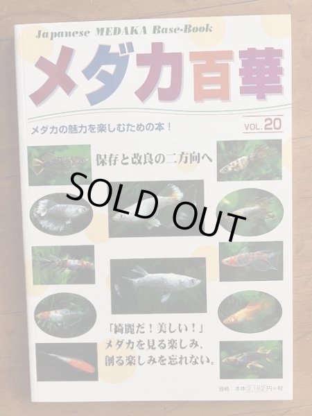 画像1: PARK様専用　メダカ百華vol.20✕３冊（送料込み） (1)